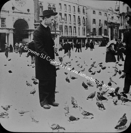 SELF FEEDING PIGEONS PIAZZA S.MARCO